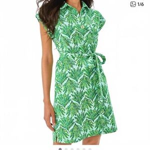 Lilly Pulitzer Emersyn dress in kitts green cross grain shady babe print